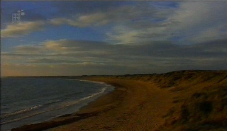Strand bei Kilmore Quay